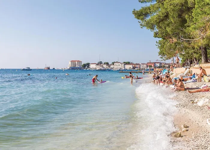 80 With Outdoor Swimmingpool *