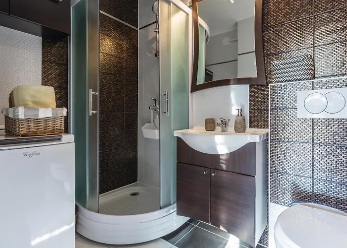 Apartment Porec 80 With Outdoor Swimmingpool Poreč